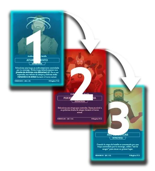 Orden de resolución.